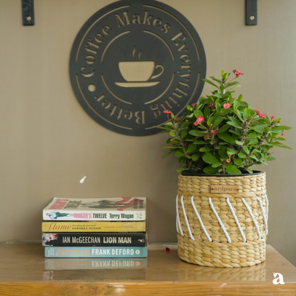 Yuri - Water Reed Planter