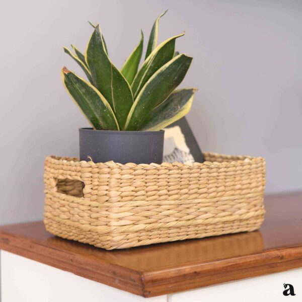 Kauna Grass Organiser