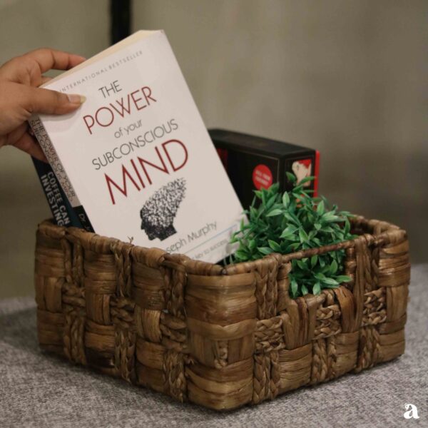 Wicker Organiser French Braided